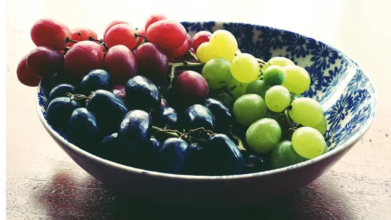 QUAIS AS PRINCIPAIS VARIEDADES DE UVAS